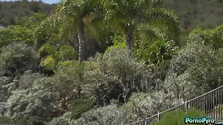 Cute Skinny Black Babe Jada Doll Bangs A Hot Stranger